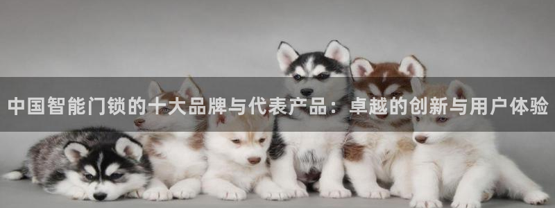 开丰娱乐下：中国智能门锁的十大品牌与代表产品：卓越的创新与用