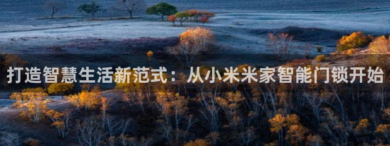 开丰娱乐更多平台：打造智慧生活新范式：从小米米家智能门锁开始