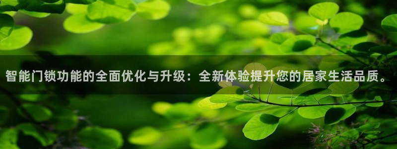 开丰娱乐手机app：智能门锁功能的全面优化与升级：全新体验提