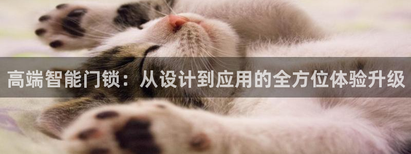 开丰娱乐67 5138：高端智能门锁：从设计到应用的全方位体