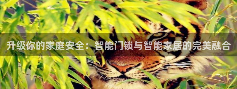 圩丰刚开的娱乐场所：升级你的家庭安全：智能门锁与智能家居的完