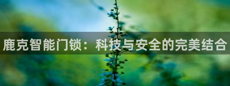 开丰娱乐除7O777：鹿克智能门锁：科技与安全的完美结合