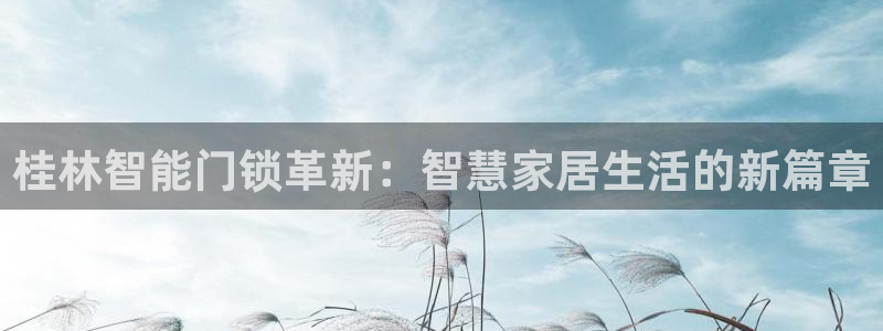 开丰娱乐登入：桂林智能门锁革新：智慧家居生活的新篇章