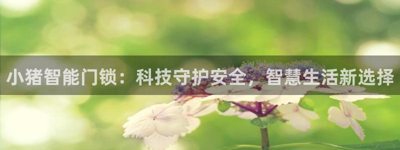 开丰娱乐下载安装：小猪智能门锁：科技守护安全，智慧生活新选择