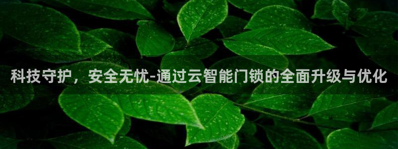 开丰娱乐手机app：科技守护，安全无忧-通过云智能门锁的全面