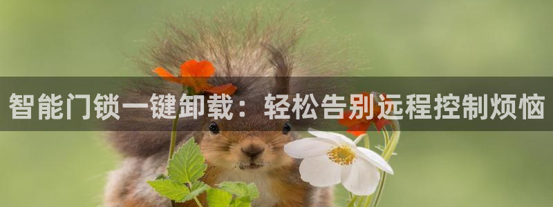 开丰娱乐后：智能门锁一键卸载：轻松告别远程控制烦恼