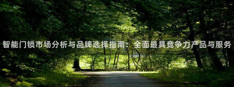 开丰娱乐除7O777：智能门锁市场分析与品牌选择指南：全面最