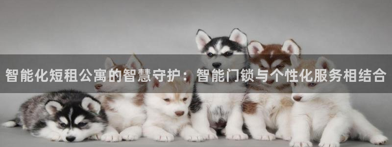 开丰娱乐乙833_43：智能化短租公寓的智慧守护：智能门锁与