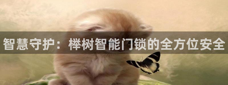 开丰娱乐网址：智慧守护：榉树智能门锁的全方位安全