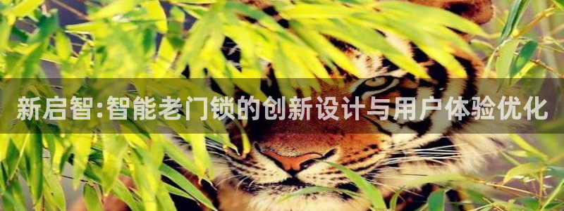 开丰娱乐手机app：新启智:智能老门锁的创新设计与用户体验优