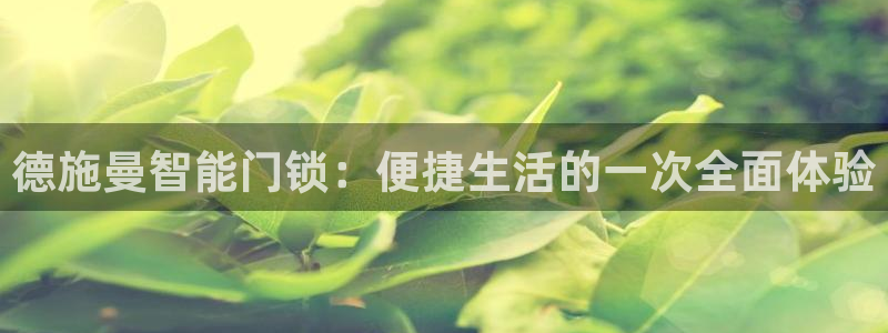 开丰娱乐下7O667：德施曼智能门锁：便捷生活的一次全面体验