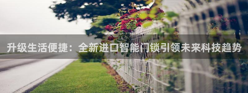 开丰娱乐后7O667：升级生活便捷：全新进口智能门锁引领未来