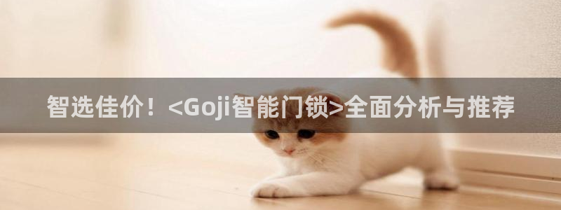 开丰娱乐2登录：智选佳价！<Goji智能门锁>全面分析与推荐