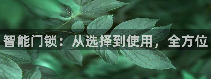 开丰娱乐不开了吗：智能门锁：从选择到使用，全方位