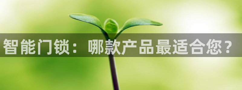 开丰娱乐新登录平台：智能门锁：哪款产品最适合您？