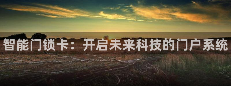 开丰娱乐平台登录：智能门锁卡：开启未来科技的门户系统