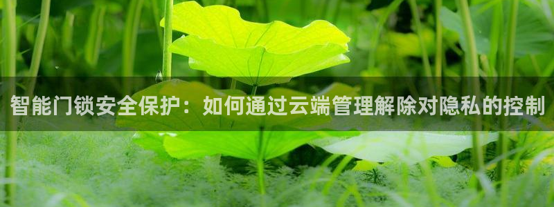 开丰娱乐下载安装：智能门锁安全保护：如何通过云端管理解除对隐
