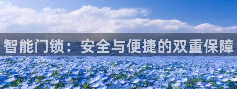 开丰娱乐登入地址是什么：智能门锁：安全与便捷的双重保障